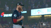 win GIF by MLB