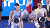 Panova GIF