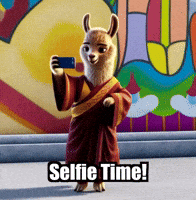 Social Media Fun GIF by dalaillamazen