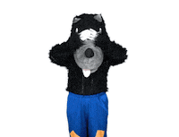 Clap Hello Sticker by Tiempo Magico TV