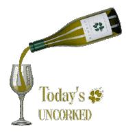 Happy Hour Cheers Sticker by Schwaderer Wines