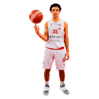 Scola Sticker by vareseacademy