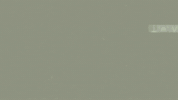Klimawandel Umweltschutz GIF by Schlagmann Poroton