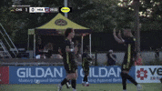 South Carolina Soccer GIF by Charleston Battery