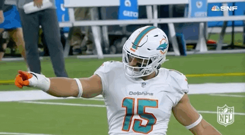 Vibing Miami Dolphins GIF by NFL