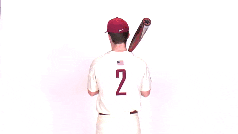 Justin Johnson Baseball GIF by Lafayette Leopards