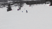 Alpine Skiing GIF by All-Round Champion