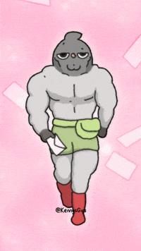 Sexy Carrier Pigeon GIF by Kennysgifs