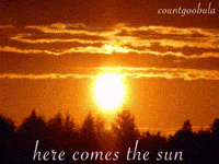 Here Comes The Sun Cat GIF