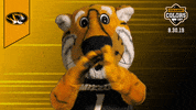 College Sports Mascots GIF by College Colors Day