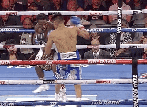 toprank giphyupload fight fighting espn GIF