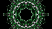 music festival art GIF by Bonnaroo Music and Arts Festival