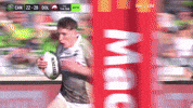 Nrl GIF by Canberra Raiders