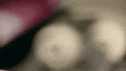 frameworks GIF by Topshelf Records