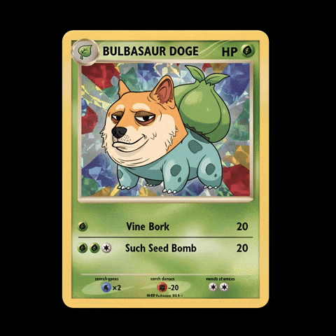 Shiba Inu Humor GIF by Doge Pound