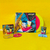 Bright Light Gay GIF by Bright Light Bright Light