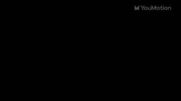 Flash animated design toolkit transitions