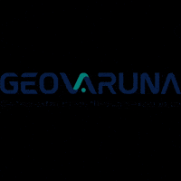 Gps GIF by geovaruna
