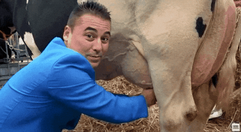 StuartGT giphygifmaker star citizen milking chris roberts GIF