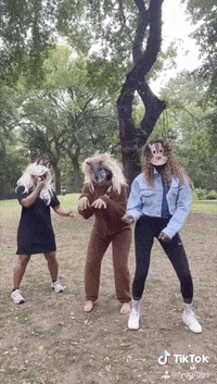 Squirrels GIF by chuber channel