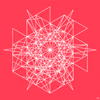 Flower GIF by Trevor Anderson