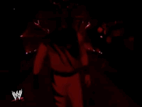 wrestlemania xv wrestling GIF by WWE