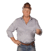 Channel 9 Whistle Sticker by The Block