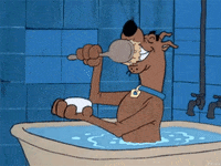 scooby doo toothpaste GIF