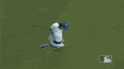 Excited Major League Baseball GIF by MLB