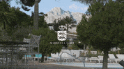 Beach Mar GIF by Casol