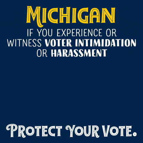 Election 2020 Michigan GIF by Creative Courage