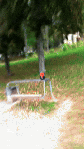 Halloween Horror GIF by Youtooz