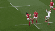 GIF by Rugbydump