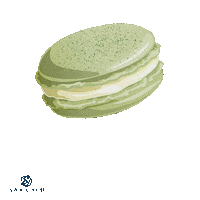 sarahluconfections macaron pistachio pistachios macarrons Sticker