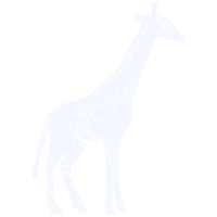 Zoo Giraffe Sticker by Textura Interiors