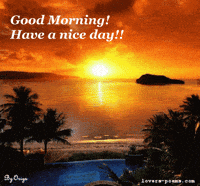 Good Morning GIF
