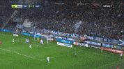 balotelli GIF by nss sports