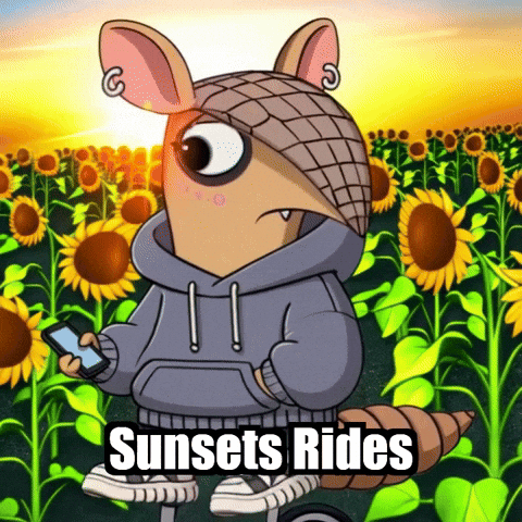 Cycling Armadillo GIF by Chillo Dillo
