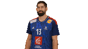 Nikola Karabatic Ffhandball Sticker by Fédération Française de Handball