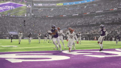 Football Celebration GIF by Minnesota Vikings