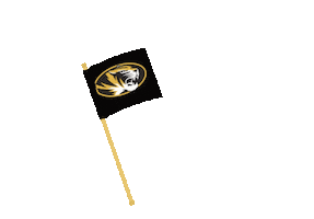 Marching Band Bands Sticker by University of Missouri