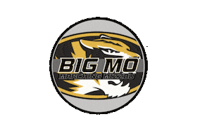 Marching Band Bands Sticker by University of Missouri