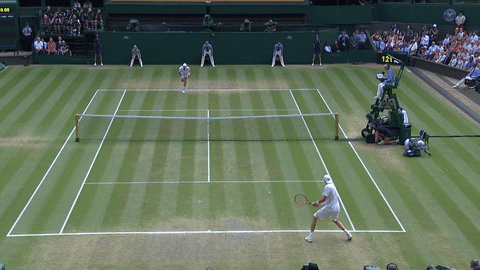 kevin anderson umpire GIF by Wimbledon