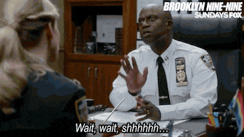brooklyn nine nine GIF by Fox TV