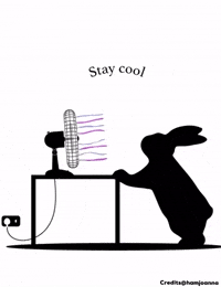 Summer Climate GIF