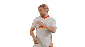 No Problem Win Sticker by RB Leipzig