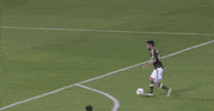 soccer mls GIF by D.C. United