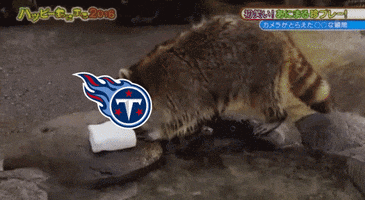 FanDuel sports football nfl japan GIF