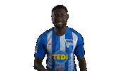 Hertha Berlin Sport Sticker by Hertha BSC