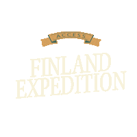 Northern Lights World Sticker by Access Travel